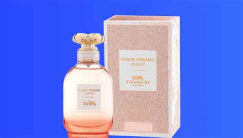 coach sunset dreams dupe